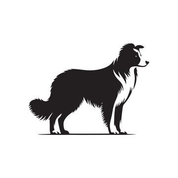 Nebula Nostalgia: Border Collie Silhouette Amidst Astral Beauty - Border Collie Illustration - Border Collie Vector Stock
