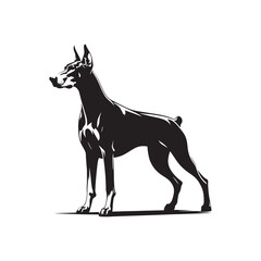 Noble Guardian: Doberman Pinscher Silhouette Standing Proud - Doberman Pinscher Illustration - Doberman Pinscher Dog Vector Stock
