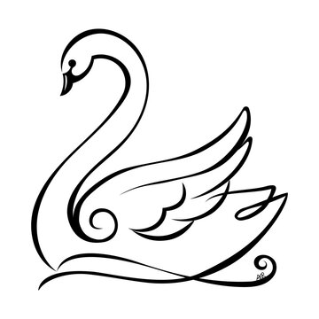 Artwork of swan black and white line work art, sign of love and peace

