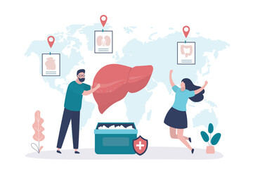 World organ donation day, donor or doctor give giant human liver for woman patient. Donor human organs anatomical healthy liver. Healthcare, organ transplant