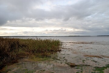 Summer fishing on the Rybinsk reservoir, nature.