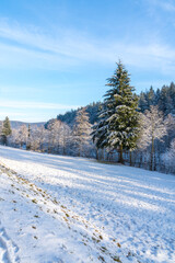 Fototapeta na wymiar Sonnige Winterlandschaft