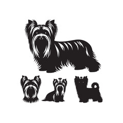 Midnight Muse: Yorkshire Terrier Silhouette Under Moonlight - Yorkshire Terrier Illustration - Yorkshire Terrier Vector Stock
