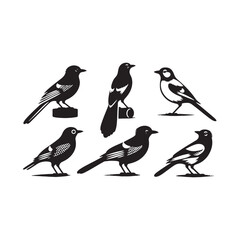 Celestial Elegance: Graceful Blue Jay Silhouette in the Moonlit Night - Blue Jay Illustration - Blue Jay Bird Vector
