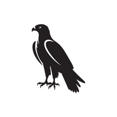 Galactic Grace: Hawk Silhouette in Cosmic Embrace with Hawk Vector
