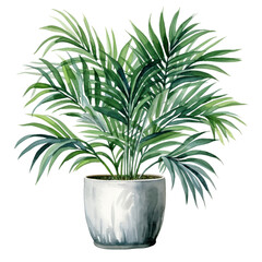 Watercolor plant Kentia Palm in a pot isolated on a white background