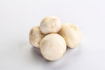Fototapeta na wymiar Natural organic ripe champignon mushrooms