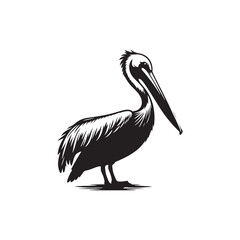 Fototapeta premium Silhouetted Majesty: Stately Pelican Silhouette at Evening - Pelican Illustration 
