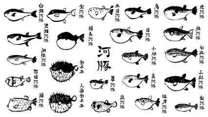 食用フグ22種類の和風ベクターイラストセット（白黒）。