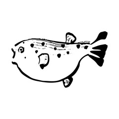 アカメフグ（赤目河豚）の和風ベクターイラスト（白黒）。