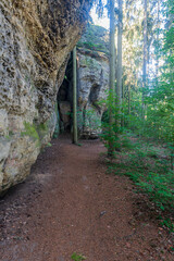 Hiking trail in forest with sandstone rock massif in CHKO Kokorinsko - Machuv kraj in Czech republic - obrazy, fototapety, plakaty