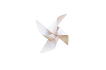 White flower isolated on white background with star origami decoration
