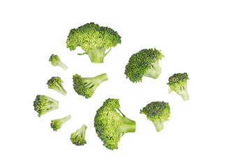 Piece of broccoli isolated on transparent background. PNG
