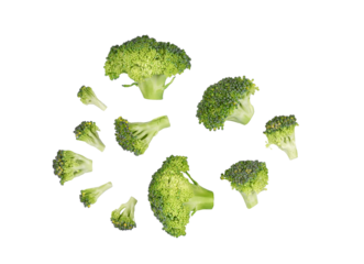 Piece of broccoli isolated on transparent background. PNG
