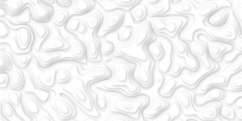 Abstract geometric layered curve line white background. 3d white papercut topography relief. Cover layout template. paper cut topography soft background banner texture. light liquid wave illustration.