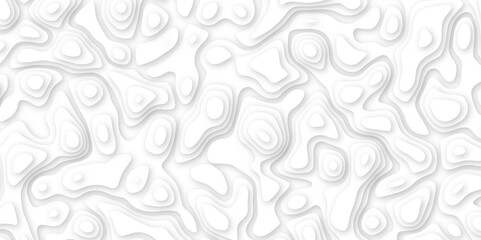 Abstract geometric layered curve line white background. 3d white papercut topography relief. Cover layout template. paper cut topography soft background banner texture. light liquid wave illustration.