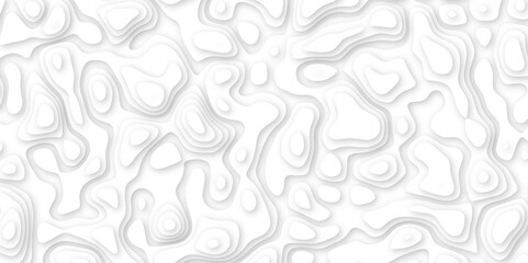 Abstract geometric layered curve line white background. 3d white papercut topography relief. Cover layout template. paper cut topography soft background banner texture. light liquid wave illustration.
