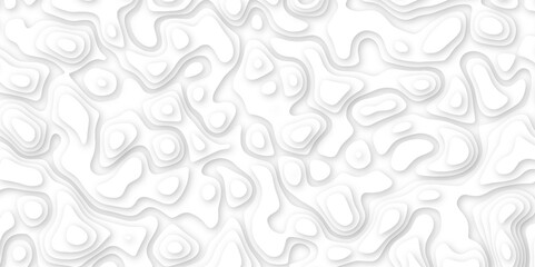  Abstract geometric layered curve line white background. 3d white papercut topography relief. Cover layout template. paper cut topography soft background banner texture. light liquid wave illustration