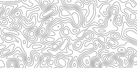 Abstract white topography vector background. Topographic map. Geographic mountain relief. counter map wavy line paper textrue. grid curve line abstract vector illustration .