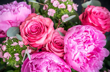Close-up of flowers Pink peonies