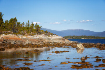 Littoral of the White Sea at low tide on summer - 739152053