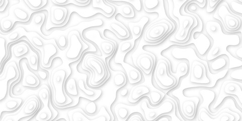  Abstract geometric layered curve line white background. 3d white papercut topography relief. Cover layout template. paper cut topography soft background banner texture. light liquid wave illustration