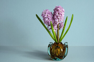 Pink hyacinths in a small vase