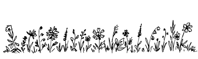 Long floral border garland. Wildflowers and herbs, blooming lawn. Nature and vegetation. Simple hand-drawn vector sketch in ink.