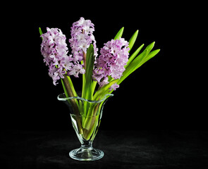 A bouquet of pink hyacinths in a small vase