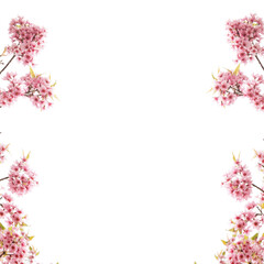 pink flowers border frame isolated on white background 