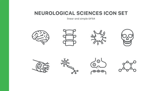 Neurological Sciences Icon Set. Thin Linear Illustrations of Brain, Neuron Structure, Nerve, Skull, Neurotransmitter and Brain Synapse, Spinal Cord. Isolated Vector Signs.	