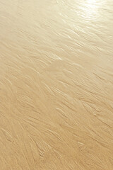 Golden Fine Sand texture natural surface at sunset, shining sunlight. Close up of sand on shore sea, neutral beige color, minimal nature aesthetics wallpaper. Sandy beach for background