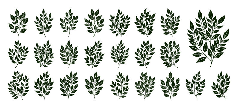 Collection of nature leaf branch illustration design