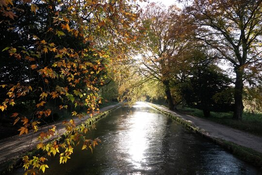 The River Test Hampshire England running through Autumn coloured trees with the sun reflecting on the water