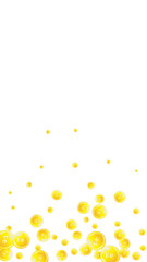 Ferritin round droplets scattered randomly.