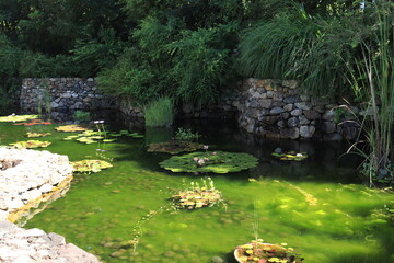浜名湖ガーデンパーク