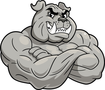 Cartoon illustration of Smiling muscular bulldog on white background