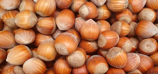 Organic hazelnuts background, pattern. Hazelnut in shell isolated. Nuts packaging design, close-up...