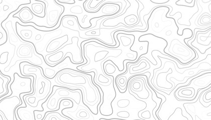 Topographic Map Seamless Pattern. Black on white contours vector topography stylized height of the lines. Vector Background