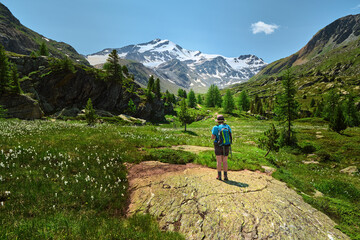 Alpine panorama during the summer in the South Tyrol