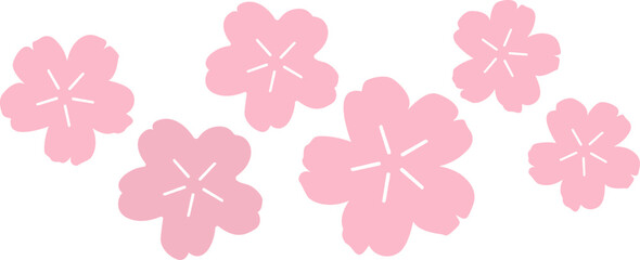 Beautiful pink Sakura Cherry Blossom illustration for spring time.