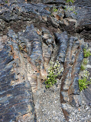 Curved lava formation, Craters of the Moon National Monument and Preserve, Idaho, United States