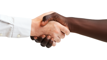 Black men and white men handshaking on white backgrounds. Deal with a project.