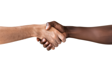 Black men and white men handshaking on white backgrounds. Deal with a project.