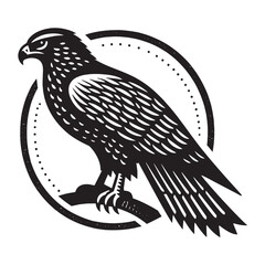 Hawk. predatory bird. Beautiful vintage engraving illustration, emblem, icon, logo, sketch. Black lines	