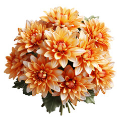 3d bouquet of orange chrysanthemum flowers on transparent background, Png format.