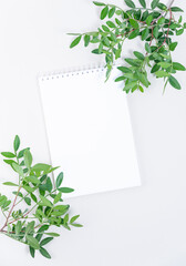 Branches with green leaves and notepad on paper background.