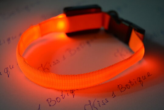 Pet accessories, a glowing collar for cats and dogs, which glows orange and is located on a piece of white paper.
