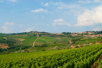 Fototapeta na wymiar splendid vineyards on the Chianti hills