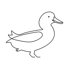 Duck  single continuous one line out line vector art  drawing  and tattoo design
